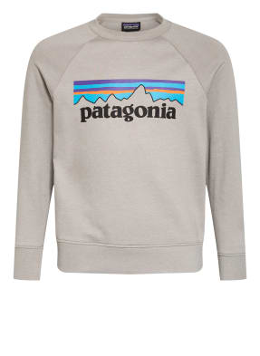 patagonia Sweatshirt