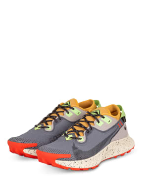 Nike Trailrunning-Schuhe PEGASUS TRAIL 2 GTX