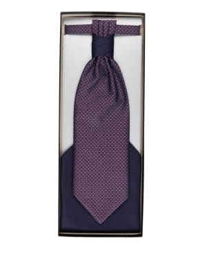 WILVORST Set: Plastron und Einstecktuch