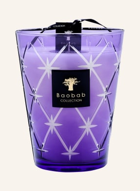 Baobab COLLECTION Duftkerze RODRIGO