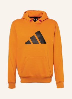 adidas Hoodie SPORTSWEAR FUTURE ICONS WINTERIZED