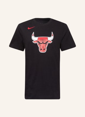 Nike T-Shirt JORDAN DRI-FIT  