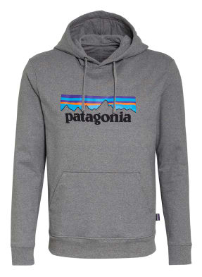 patagonia Hoodie UPRISAL