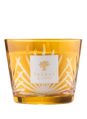 Baobab COLLECTION Duftkerze PALMA