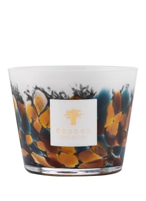 Baobab COLLECTION Duftkerze RAINFOREST AMAZONIA