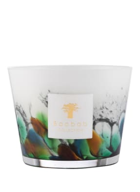 Baobab COLLECTION Duftkerze RAINFOREST AMAZONIA