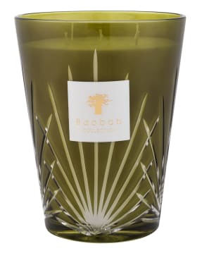 Baobab COLLECTION Duftkerze PALM SPRINGS