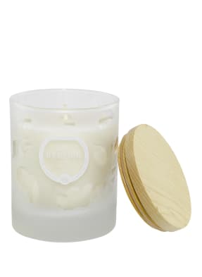 MAISON BERGER PARIS AROMA WAKE-UP