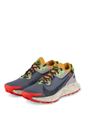Nike Trailrunning-Schuhe PEGASUS TRAIL 2 GORE-TEX