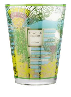 Baobab COLLECTION Duftkerze SINGAPORE