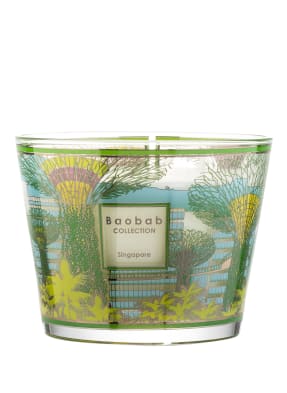 Baobab COLLECTION Duftkerze SINGAPORE