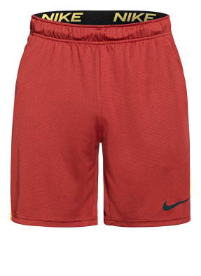 Nike Shorts DRI-FIT