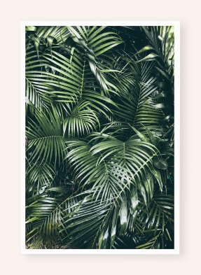 DAVID & DAVID STUDIO Kunstdruck GREEN LEAVES