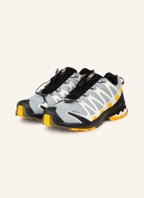 SALOMON Trailrunningschuhe XA PRO 3D V8 GTX
