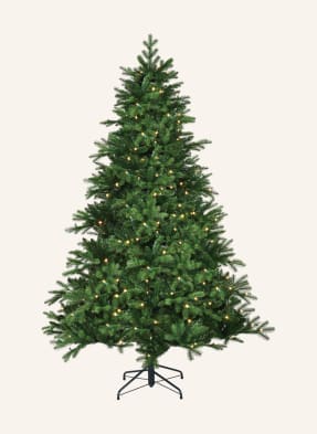 edelman Christmas tree BRAMPTON 