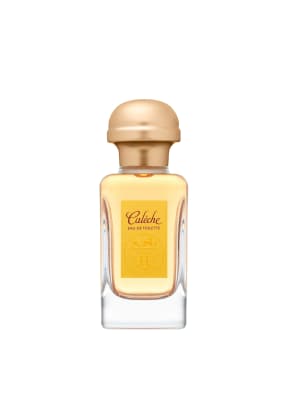 HERMÈS CALÈCHE