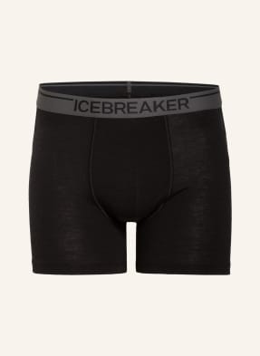 icebreaker Functional underwear boxer shorts ANATOMICA made of merino wool