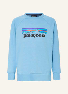 patagonia Sweatshirt