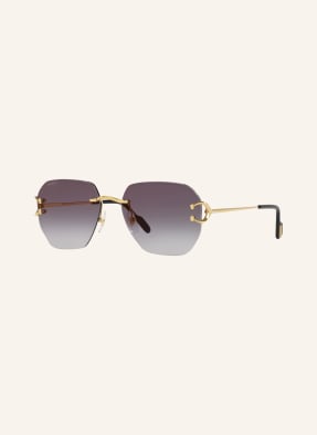 Cartier Sunglasses 6L001667