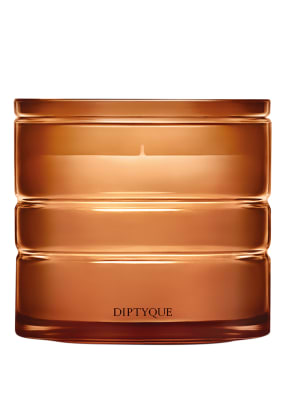 Diptyque Terres Blondes Vonná svíčka 220 g