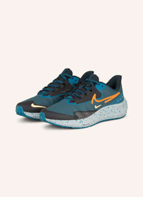 Nike Running shoes PEGASUS 39 SHIELD