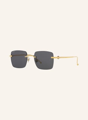 Cartier Sunglasses 6L001668