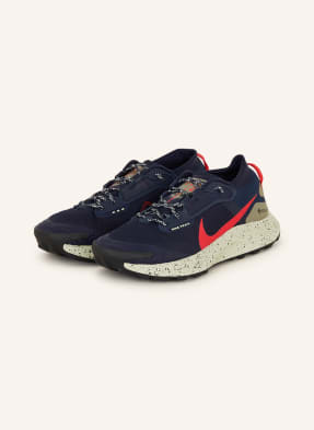 Nike Trailrunning-Schuhe PEGASUS TRAIL 3 GTX