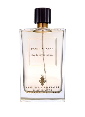 Simone Andreoli Pacific Park Eau de Parfum Intense 100 ml