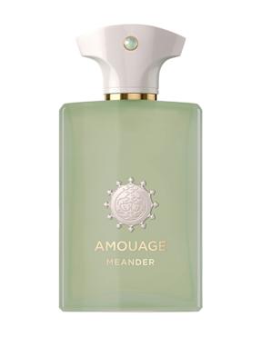 Amouage Meander Eau de Parfum 100 ml