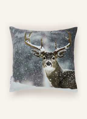 Eb Home Ozdobný Povlak Na Polštář Deer Ze Sametu černošedá / šedá / bílá