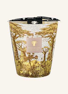 Baobab Collection Vonná Svíčka Sacred Trees Bounkani žlutá / režná