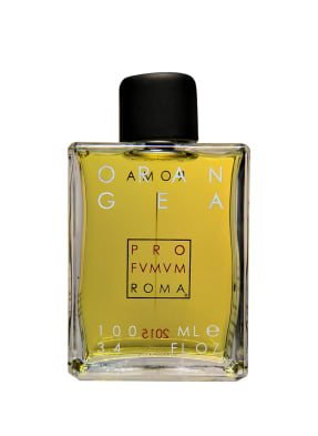 Profvmvm Roma Orangea Eau de Parfum 100 ml