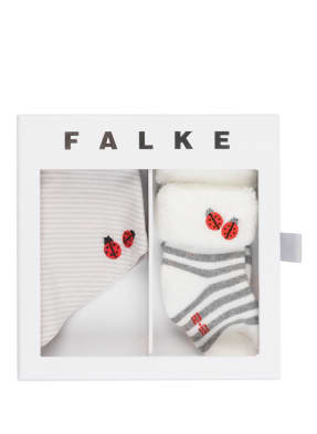 FALKE Set: Socken und Halstuch in Geschenkbox