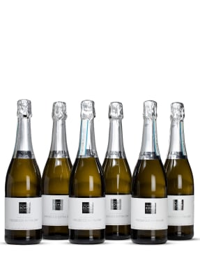 Feinkost Böhm Schaumwein PROSECCO EXTRA DRY 0,75L (6er Bundle)
