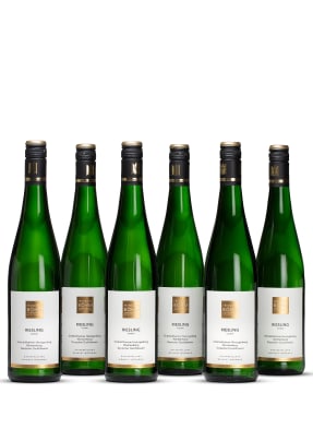 Feinkost Böhm Weißwein RIESLING TROCKEN 0,75L (6er Bundle)
