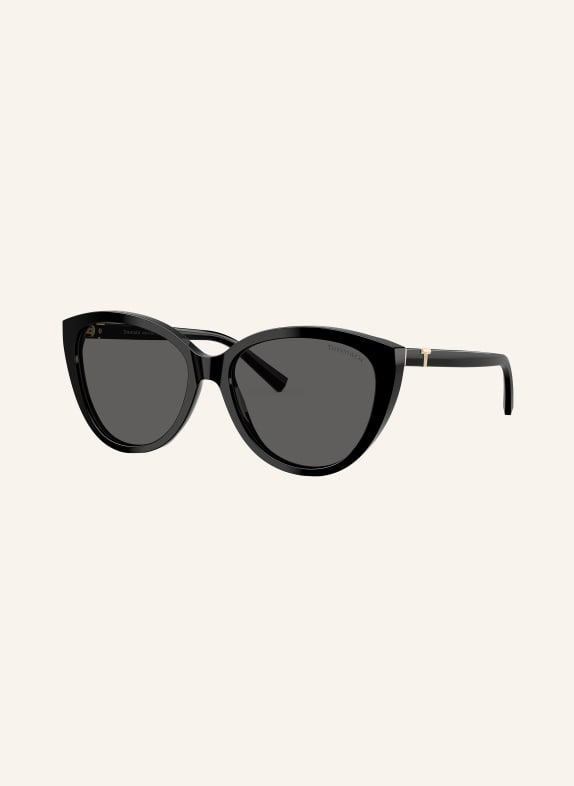TIFFANY & Co. Sunglasses TF4251 BLACK/GRAY