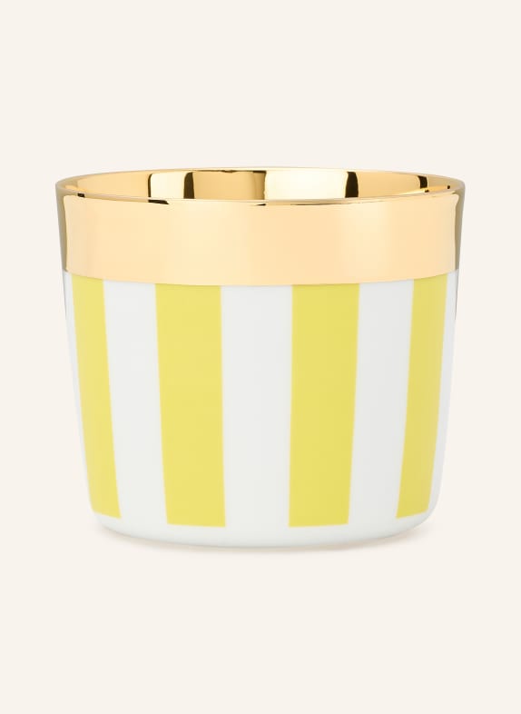 SIEGER by FÜRSTENBERG Chinos for men YELLOW / GOLD / WHITE