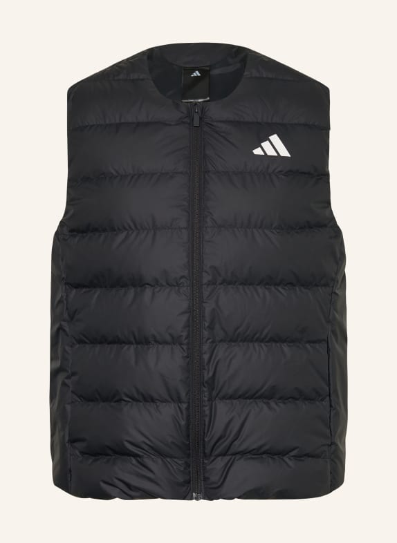 adidas Daunenweste SCHWARZ