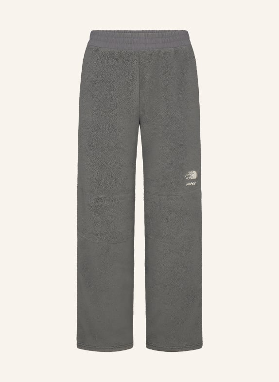 THE NORTH FACE x SKIMS Spodnie polarowe TNF X PROJECT K 1995 RETRO DENALI T8L SK Gunmetal