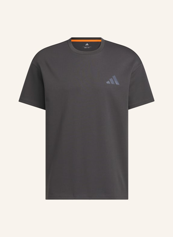 adidas TERREX T-Shirt GRAPHIC DUNKELGRAU