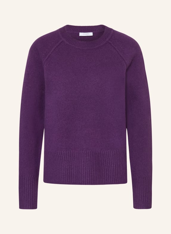 HOBBS MANDY sweater made from merino wool DARK PURPLE