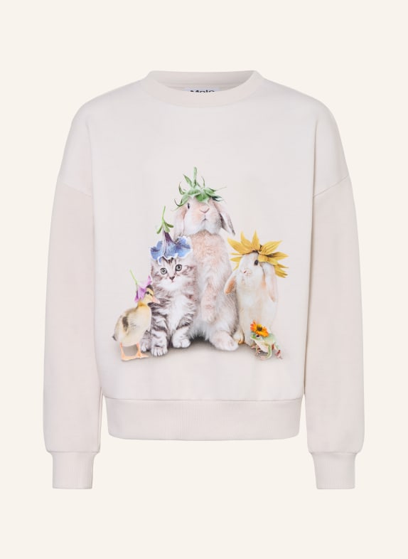 molo bluza BEŻOWY / ZIELONY / NIEBIESKI