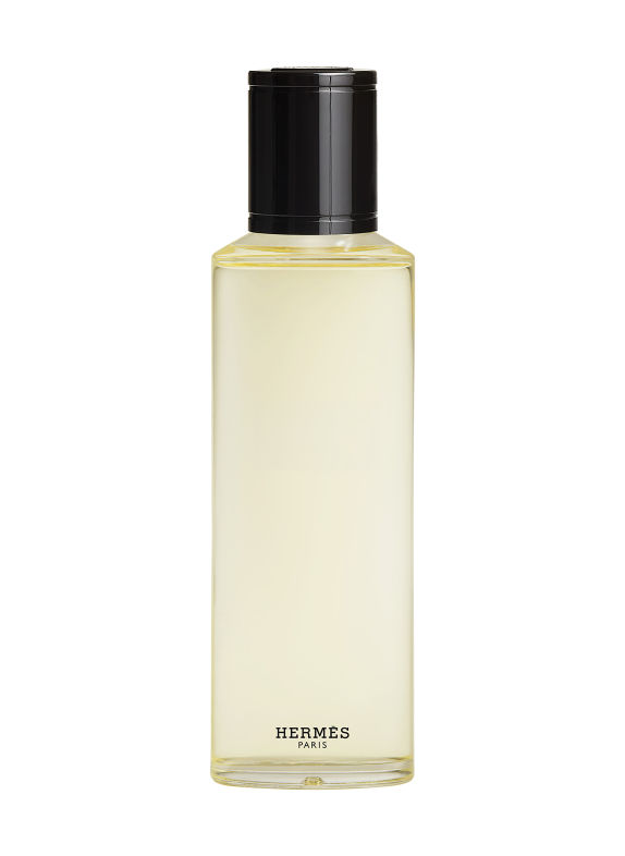 HERMÈS TERRE D’HERMÈS EAU GIVRÉE