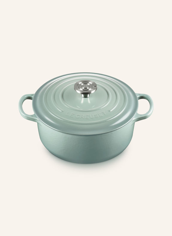 LE CREUSET SIGNATURE Roasting Pan SEA SALT