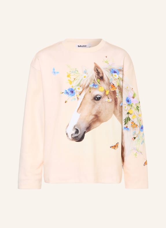 molo Sweatshirt MOUNTOO LACHS / BRAUN / BLAU