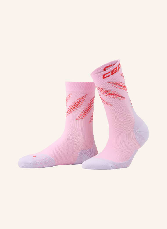 cep Laufsocken RUN EDT. ELLIPTIC MID CUT MID CUSHION ROSA / PINK / ROT