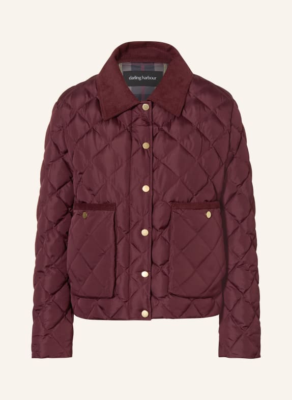 darling harbour Steppjacke BORDEAUX
