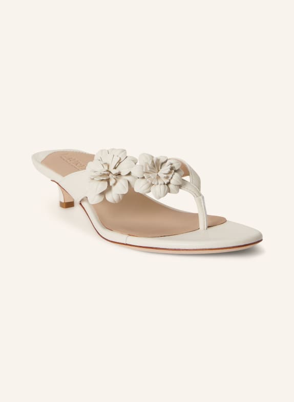 LAUREN RALPH LAUREN Tussenslippers FRANCESCA CRÈME