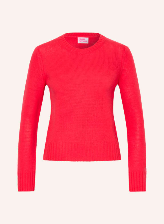 FROM FUTURE Kasjmiertrui NEONROOD