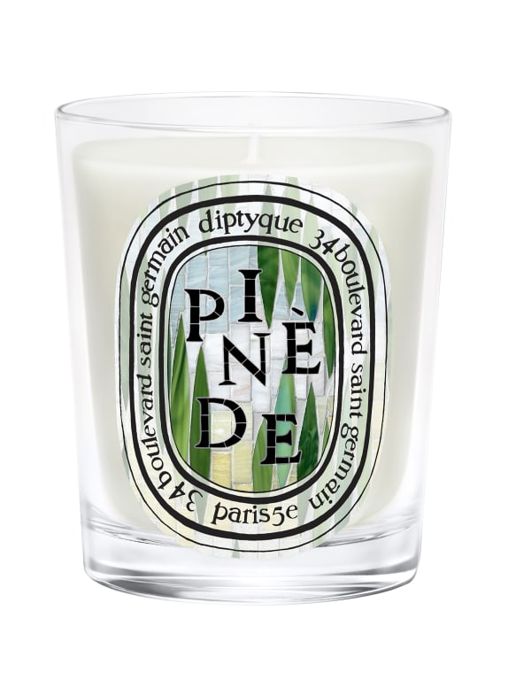 diptyque PINÈDE